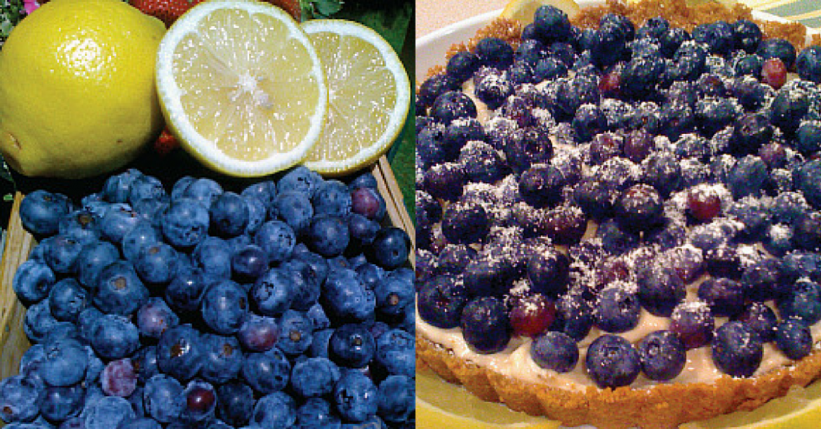 paleo blueberry tart