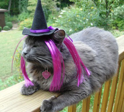 cat-hat-witch12
