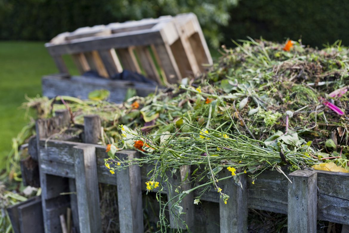 Learn how to start composting in your home and garden!