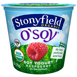 organic-soy-yogurt-raspberry-osoy-6oz_0