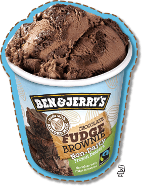 choc-fudge-brownie-pint-3