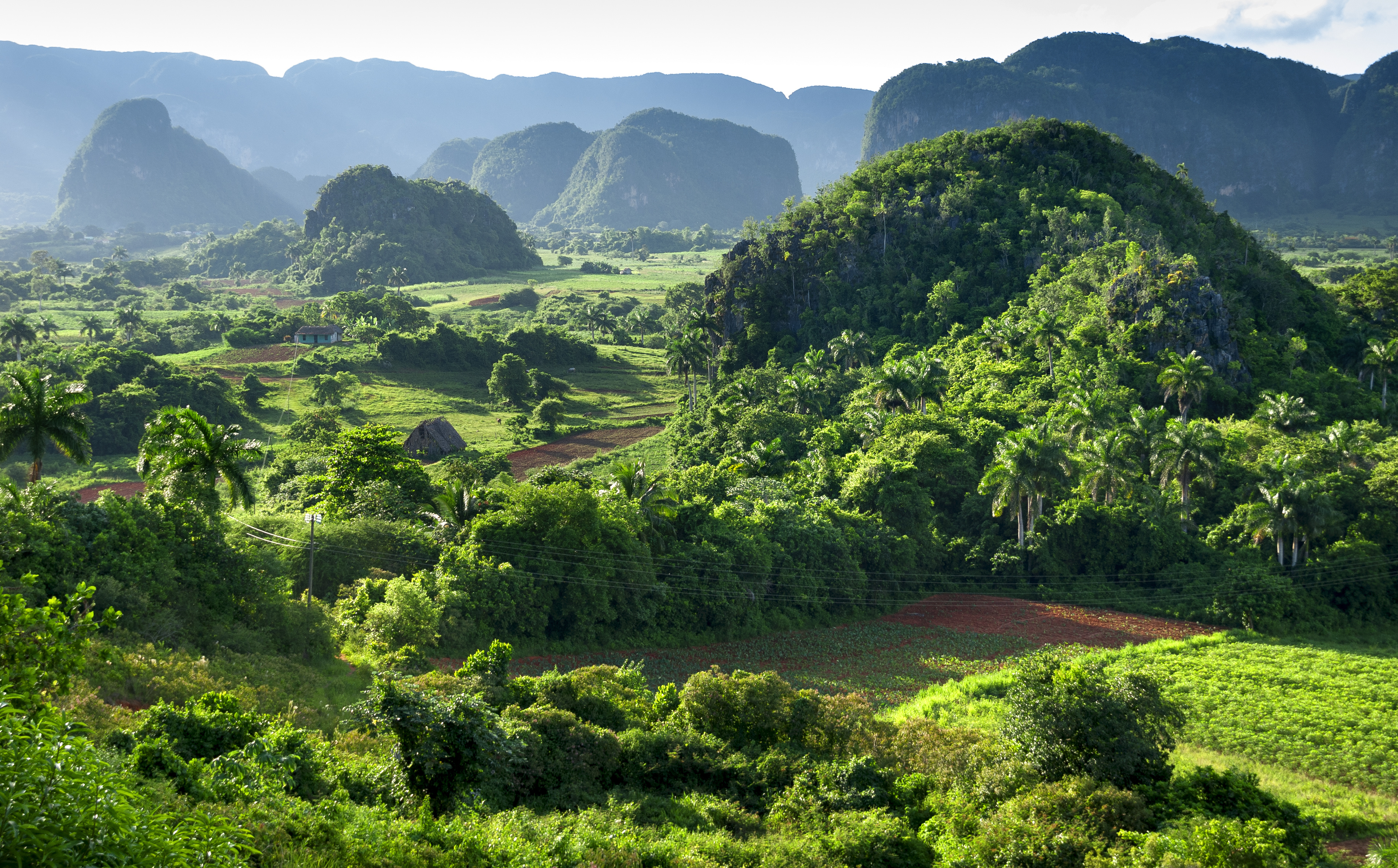 landscape of valley of Vinales biosphera reserve,Cuba