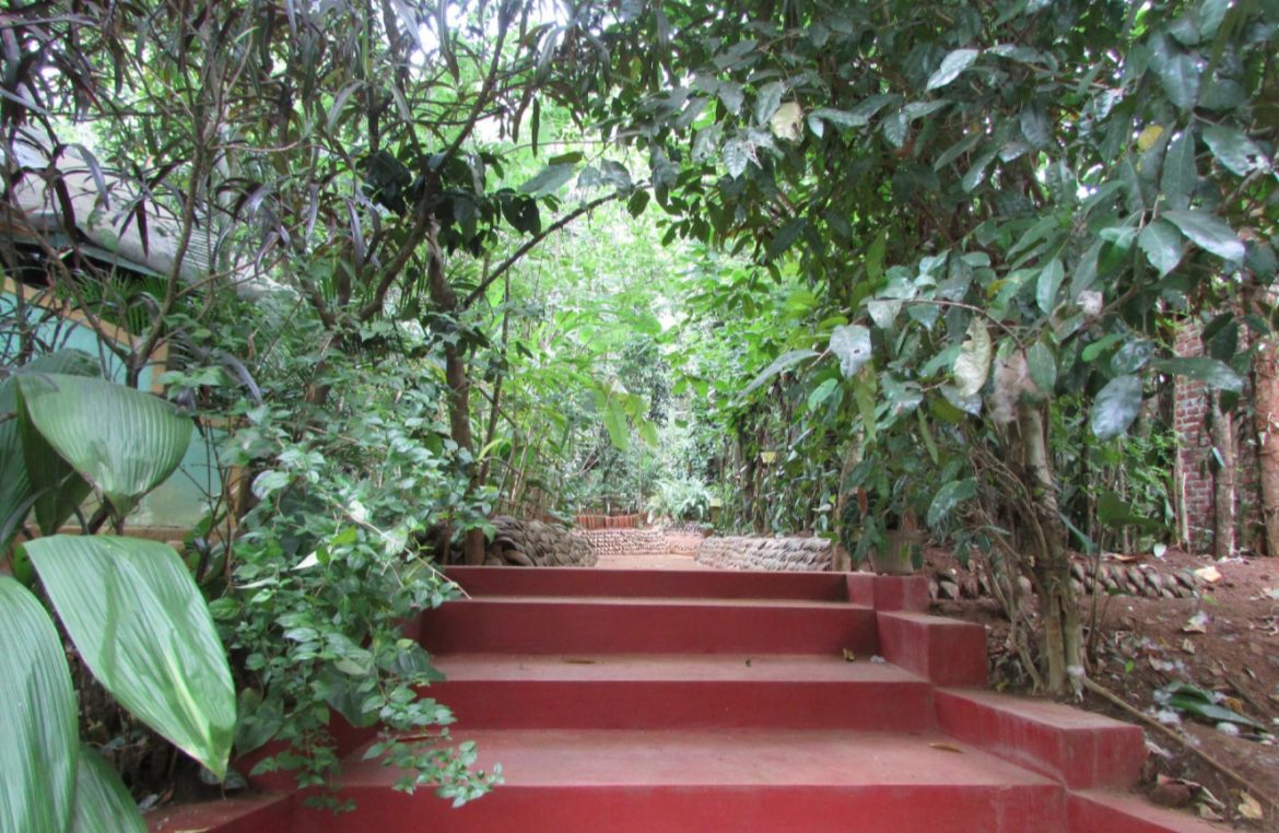 Exploring Herbal Ingredients in a Sri Lankan Spice Garden Eco18