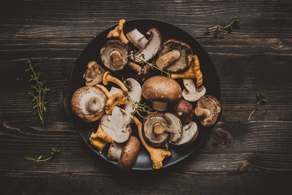 The Surprising Connection Between Mushrooms and Alzheimer’s Research