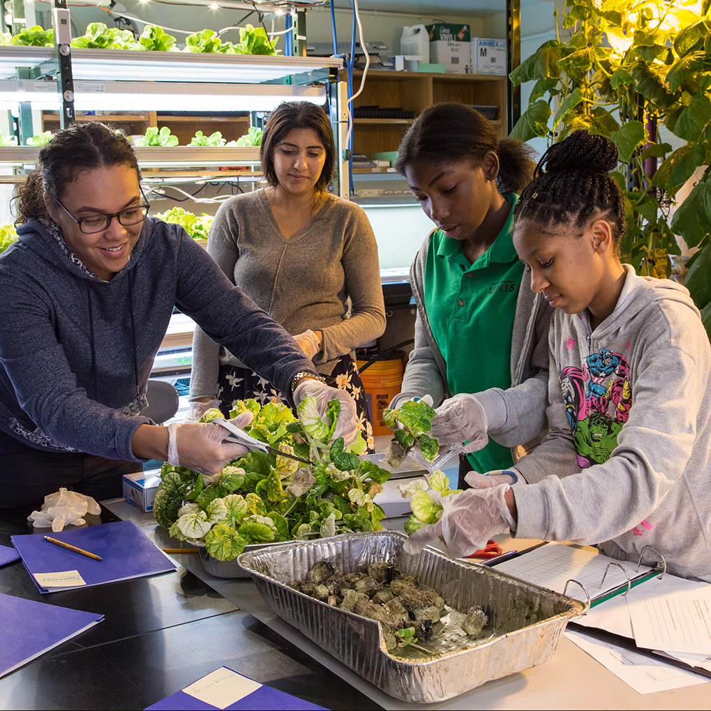 teens for food justice 