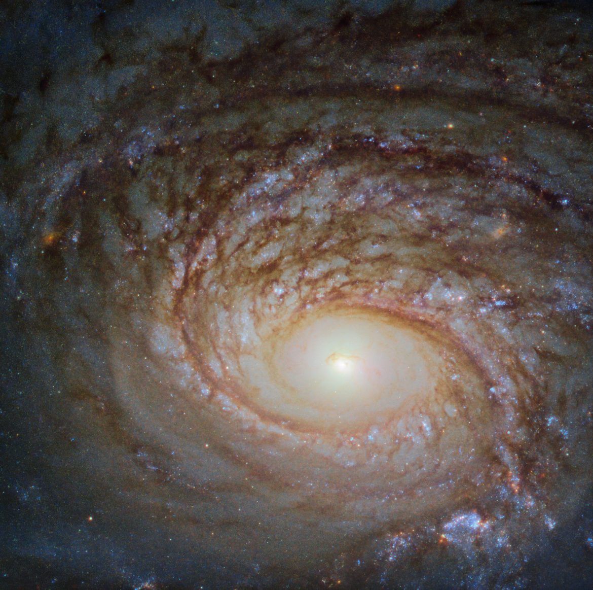 “Many galaxies we see through telescopes such as the NASA/ESA Hubble Space Telescope, the source of this beautiful image, look relatively similar: spiraling arms, a glowing center, and a mixture of bright specks of star formation and dark ripples of cosmic dust weaving throughout. This galaxy, a spiral galaxy named NGC 772, is no exception.”; Photo and Caption by the Hubble Space Telescope and NASA