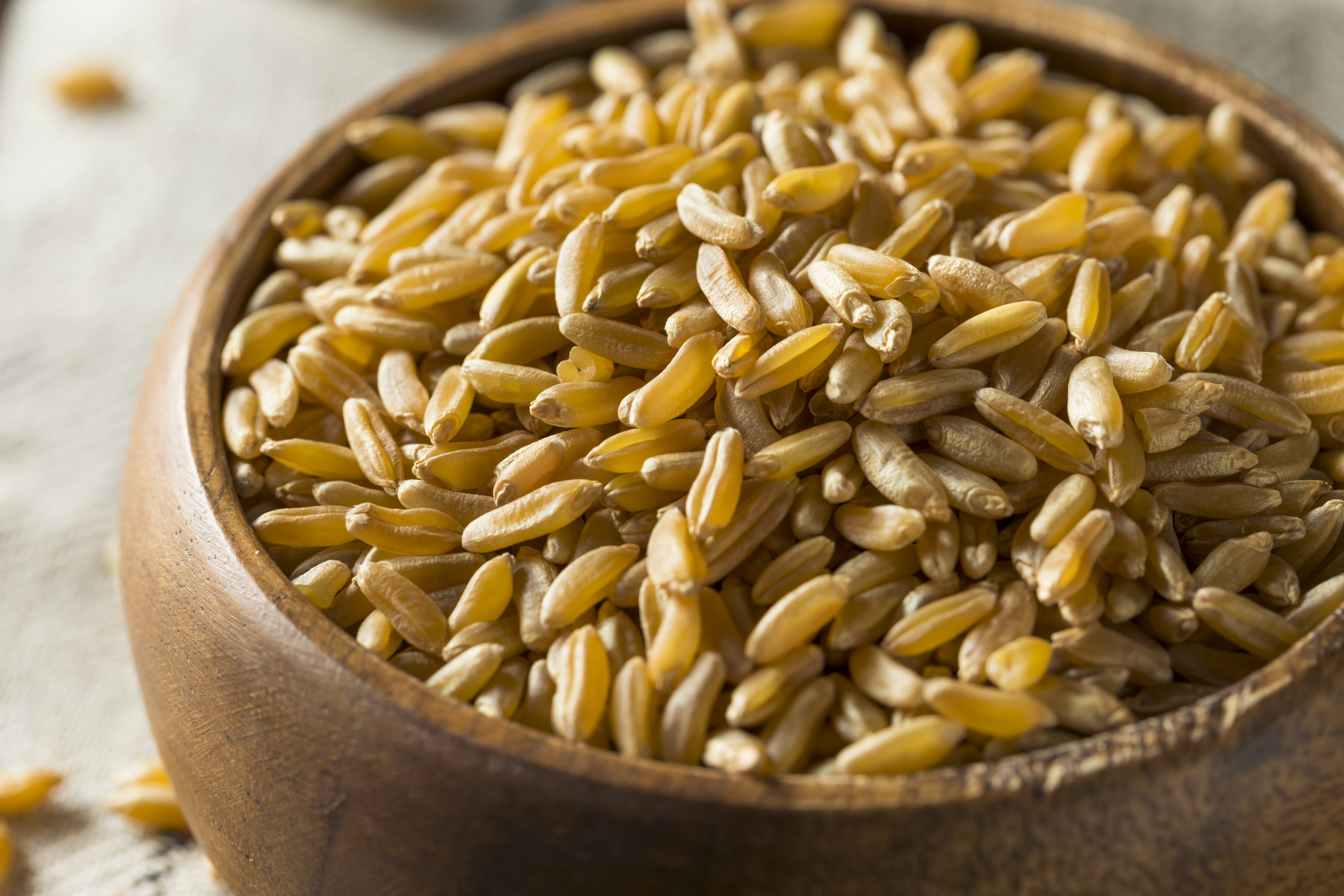 Raw Organic Dry Kamut Berries Grain Eco18