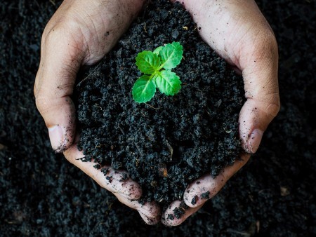 Ohio Composting Industry Tour Is Aug. 24 | CFAES