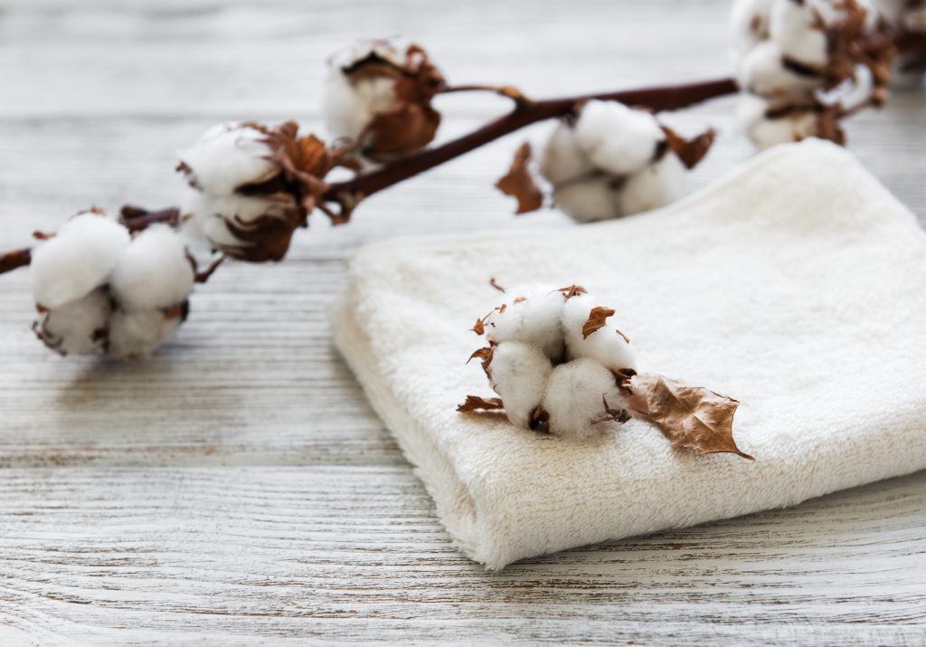 most eco-friendly fabrics 