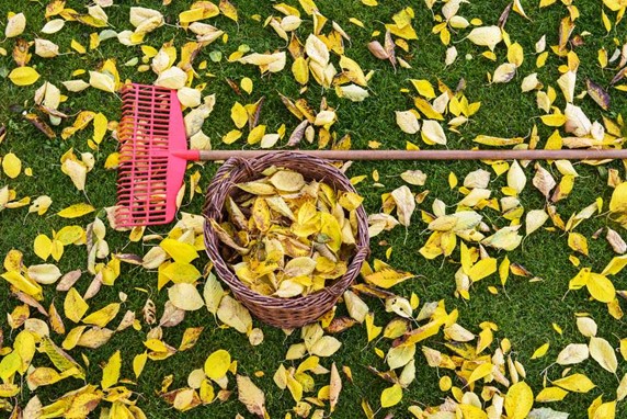 5 Eco-Friendly Ways to Prep Your Home for Fall 