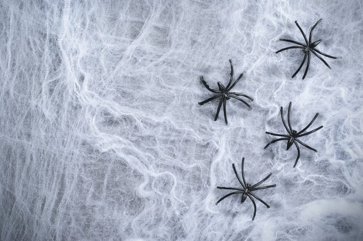 Creepy Critters To Avoid This Fall