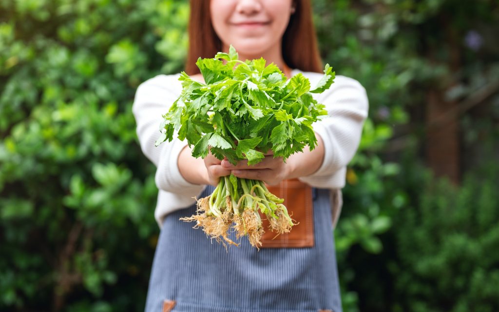 National Celery Month