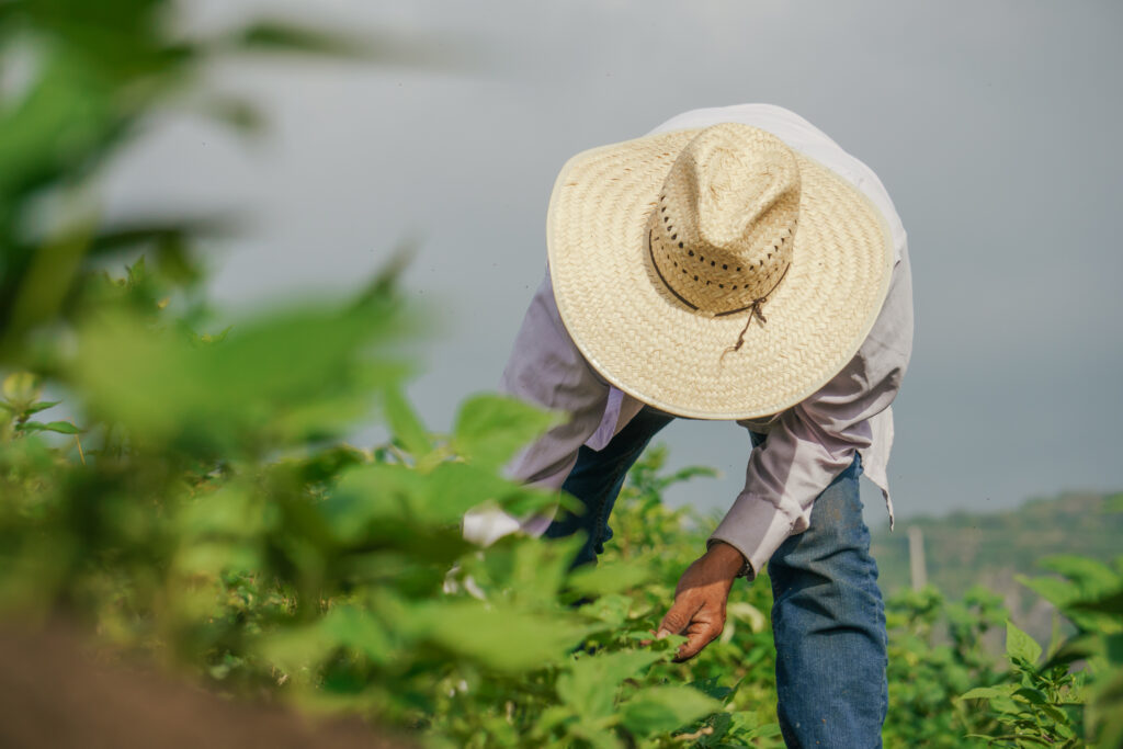 5 Ways to Celebrate National Farmer’s Day