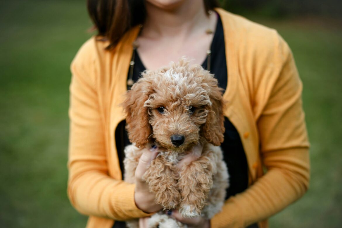 Woman holding a puppy
