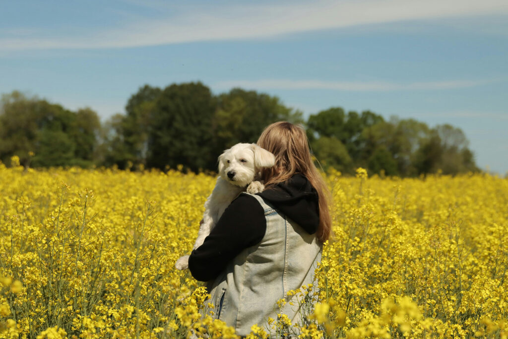 Woman holding a small white dog in a field of flowers.