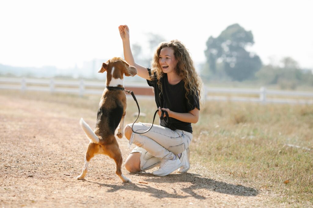 Woman outside with her beagle, working on training exercises in a rural field