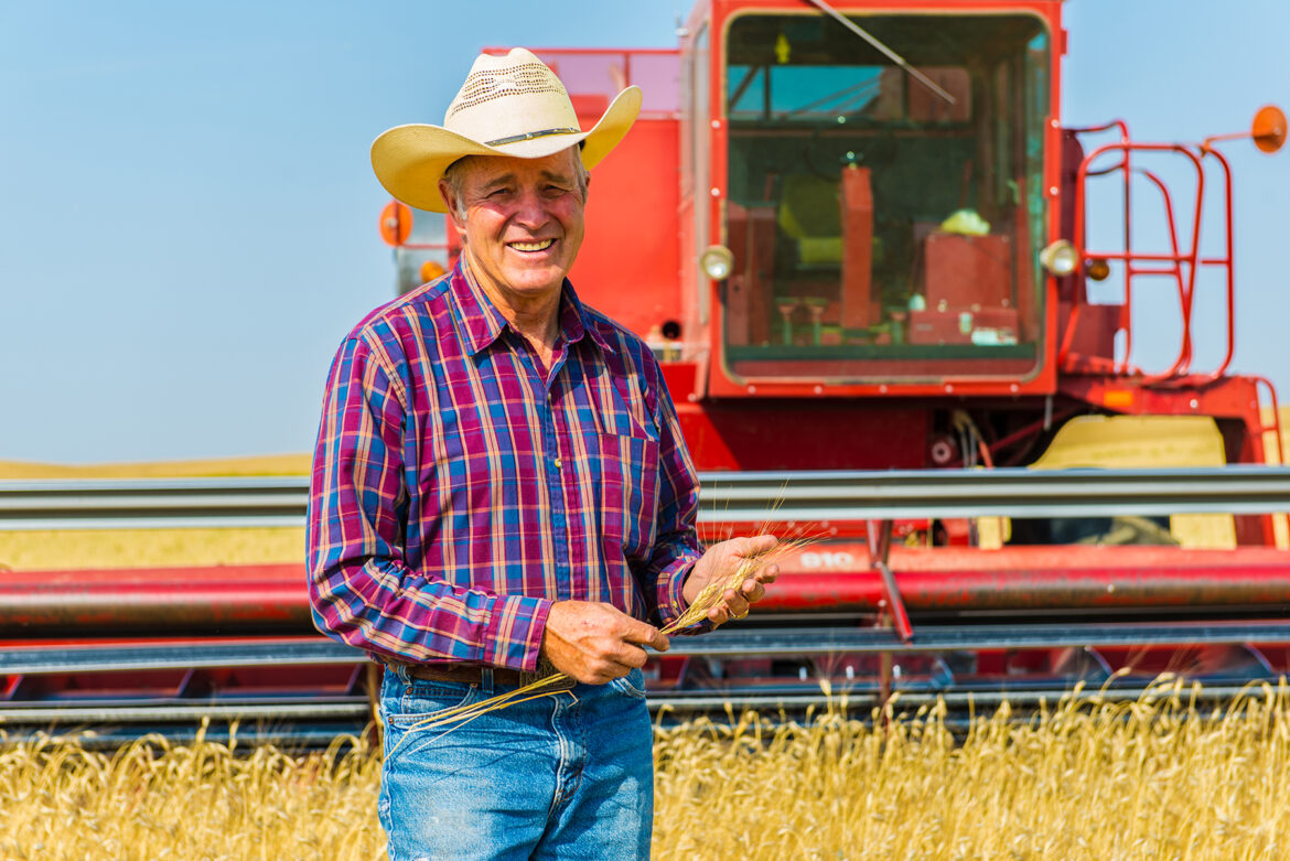 Bob Quinn holding Kamut Brand Wheat in his hand in front of a red combine